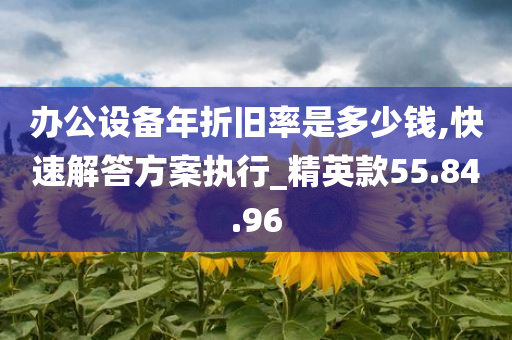 办公设备年折旧率是多少钱,快速解答方案执行_精英款55.84.96