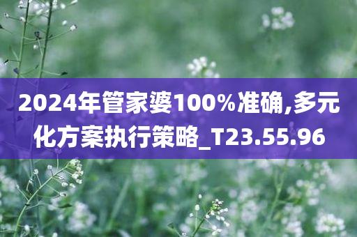 2024年管家婆100%准确,多元化方案执行策略_T23.55.96