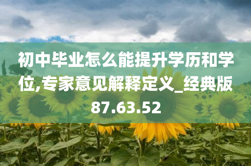 初中毕业怎么能提升学历和学位,专家意见解释定义_经典版87.63.52