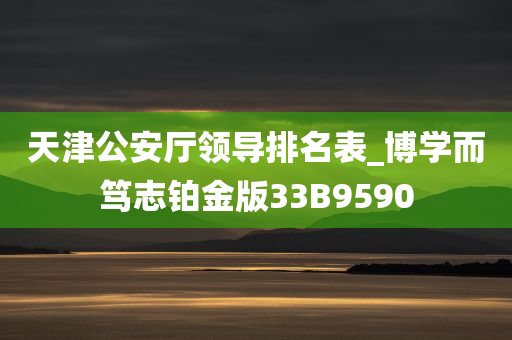 天津公安厅领导排名表_博学而笃志铂金版33B9590