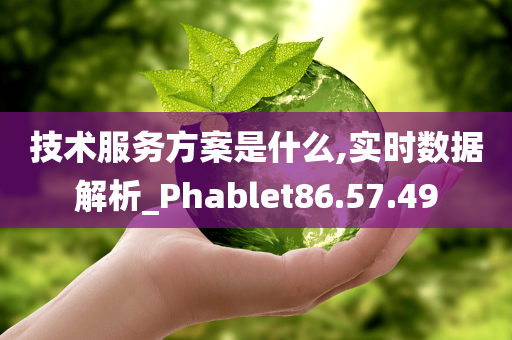 技术服务方案是什么,实时数据解析_Phablet86.57.49