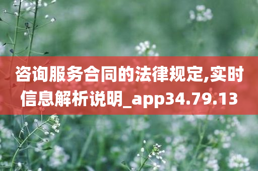 咨询服务合同的法律规定,实时信息解析说明_app34.79.13