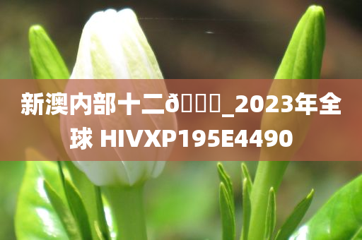 新澳内部十二🐎_2023年全球 HIVXP195E4490