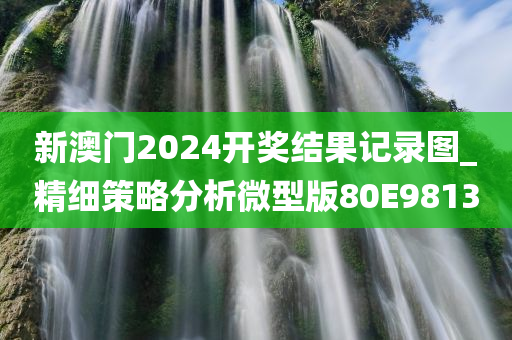 新澳门2024开奖结果记录图_精细策略分析微型版80E9813