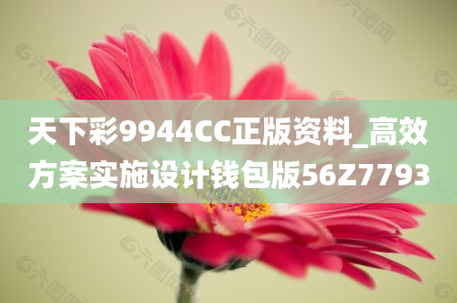 天下彩9944CC正版资料_高效方案实施设计钱包版56Z7793