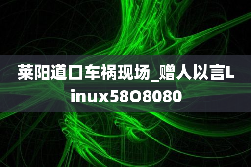 莱阳道口车祸现场_赠人以言Linux58O8080