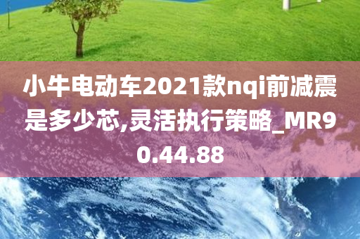 小牛电动车2021款nqi前减震是多少芯,灵活执行策略_MR90.44.88