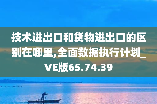 技术进出口和货物进出口的区别在哪里,全面数据执行计划_VE版65.74.39