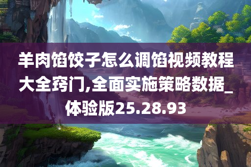 羊肉馅饺子怎么调馅视频教程大全窍门,全面实施策略数据_体验版25.28.93