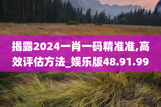 揭露2024一肖一码精准准,高效评估方法_娱乐版48.91.99