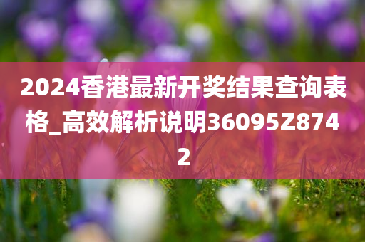 2024香港最新开奖结果查询表格_高效解析说明36095Z8742