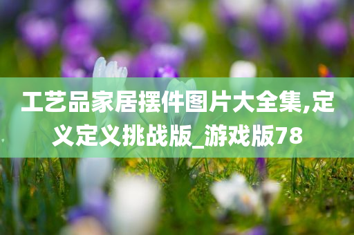 工艺品家居摆件图片大全集,定义定义挑战版_游戏版78