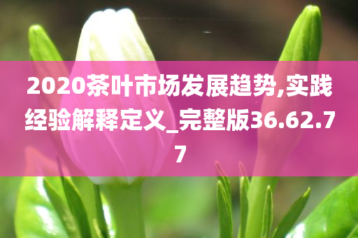 2020茶叶市场发展趋势,实践经验解释定义_完整版36.62.77