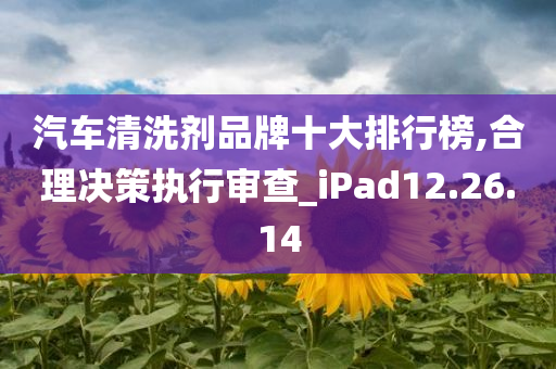 汽车清洗剂品牌十大排行榜,合理决策执行审查_iPad12.26.14