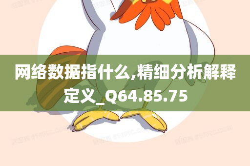 网络数据指什么,精细分析解释定义_Q64.85.75