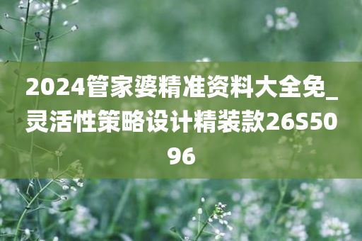 2024管家婆精准资料大全免_灵活性策略设计精装款26S5096