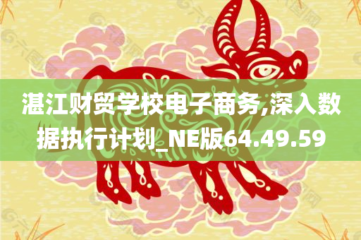 湛江财贸学校电子商务,深入数据执行计划_NE版64.49.59