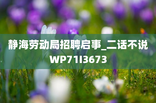 静海劳动局招聘启事_二话不说WP71I3673