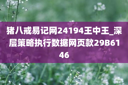 猪八戒易记网24194王中王_深层策略执行数据网页款29B6146