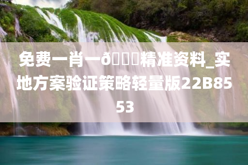 免费一肖一🐎精准资料_实地方案验证策略轻量版22B8553