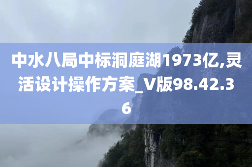 中水八局中标洞庭湖1973亿,灵活设计操作方案_V版98.42.36