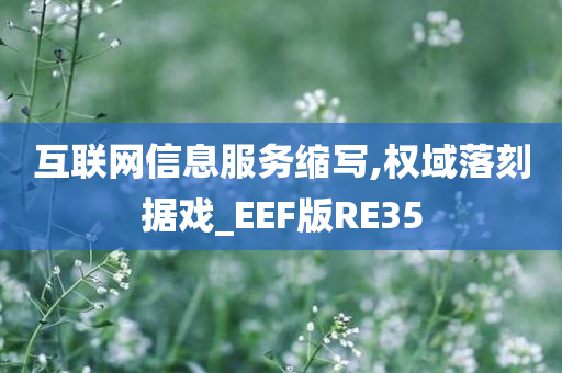 互联网信息服务缩写,权域落刻据戏_EEF版RE35