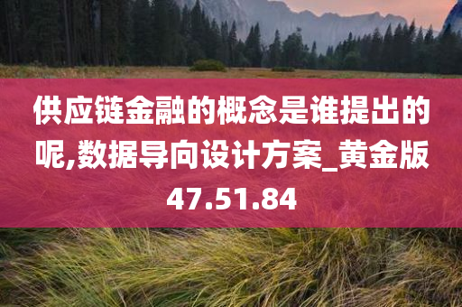 供应链金融的概念是谁提出的呢,数据导向设计方案_黄金版47.51.84