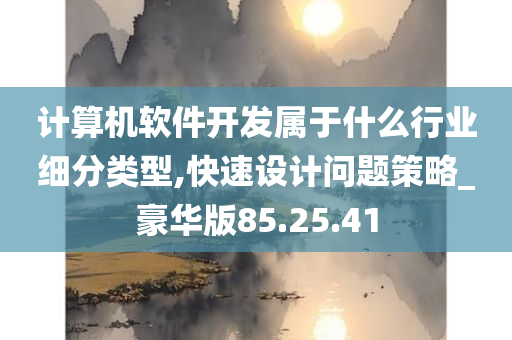 计算机软件开发属于什么行业细分类型,快速设计问题策略_豪华版85.25.41