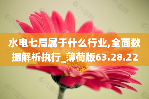 水电七局属于什么行业,全面数据解析执行_薄荷版63.28.22