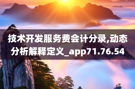 技术开发服务费会计分录,动态分析解释定义_app71.76.54