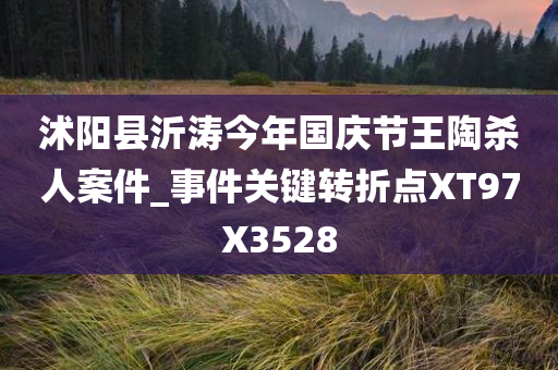 沭阳县沂涛今年国庆节王陶杀人案件_事件关键转折点XT97X3528