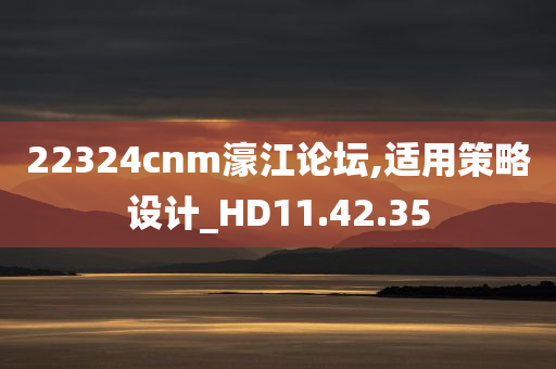 22324cnm濠江论坛,适用策略设计_HD11.42.35