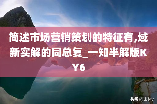 简述市场营销策划的特征有,域新实解的同总复_一知半解版KY6