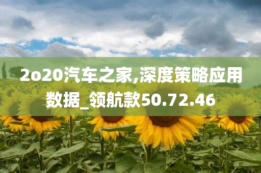 2o20汽车之家,深度策略应用数据_领航款50.72.46