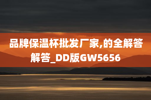 品牌保温杯批发厂家,的全解答解答_DD版GW5656