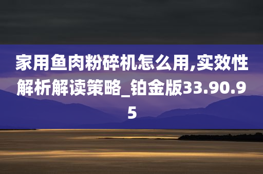 家用鱼肉粉碎机怎么用,实效性解析解读策略_铂金版33.90.95