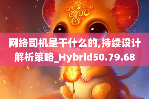 网络司机是干什么的,持续设计解析策略_Hybrid50.79.68