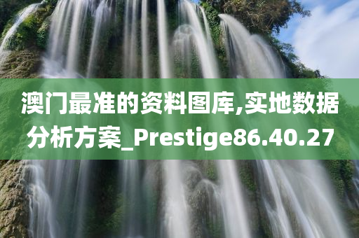 澳门最准的资料图库,实地数据分析方案_Prestige86.40.27