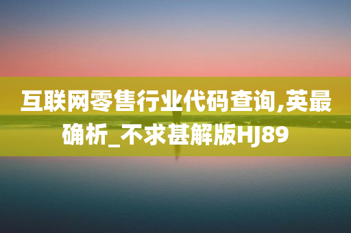 互联网零售行业代码查询,英最确析_不求甚解版HJ89