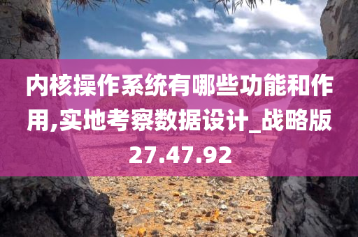 内核操作系统有哪些功能和作用,实地考察数据设计_战略版27.47.92