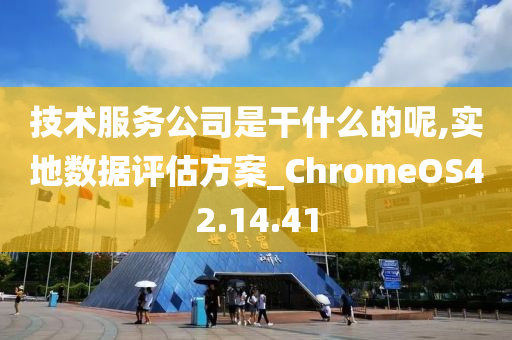 技术服务公司是干什么的呢,实地数据评估方案_ChromeOS42.14.41