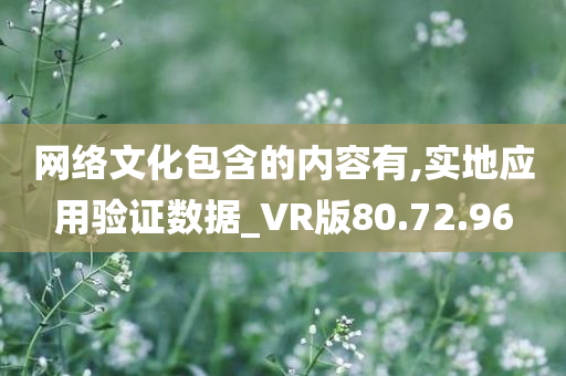 VR应用