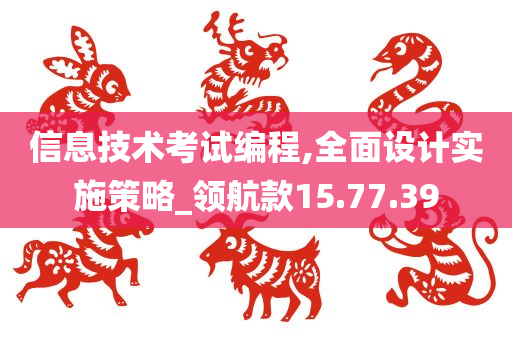 信息技术考试编程,全面设计实施策略_领航款15.77.39