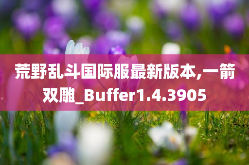 荒野乱斗国际服最新版本,一箭双雕_Buffer1.4.3905