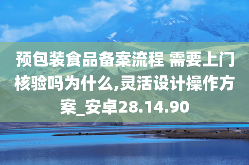 预包装食品备案流程 需要上门核验吗为什么,灵活设计操作方案_安卓28.14.90