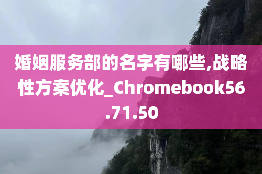 婚姻服务部的名字有哪些,战略性方案优化_Chromebook56.71.50