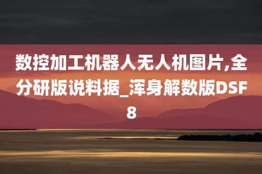 数控加工机器人无人机图片,全分研版说料据_浑身解数版DSF8