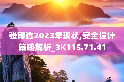 张印选2023年现状,安全设计策略解析_3K115.71.41