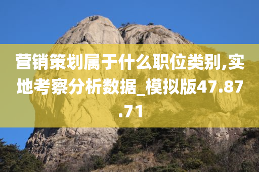 营销策划属于什么职位类别,实地考察分析数据_模拟版47.87.71