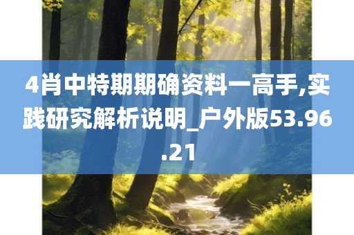 4肖中特期期确资料一高手,实践研究解析说明_户外版53.96.21